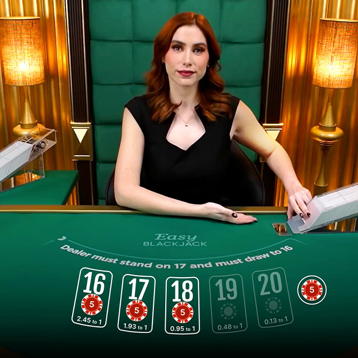 Blackjack spinwint.com