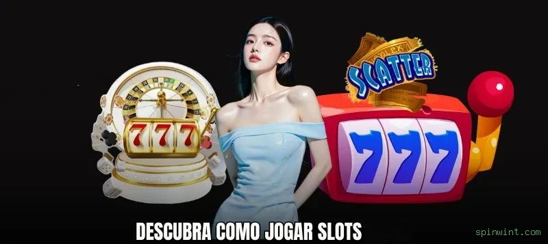 spinwint.com Provedores Premium